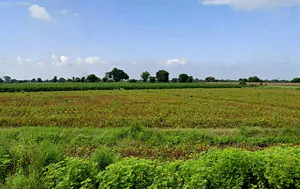 Rajapur, Madhya Pradesh 475661, India preview 2