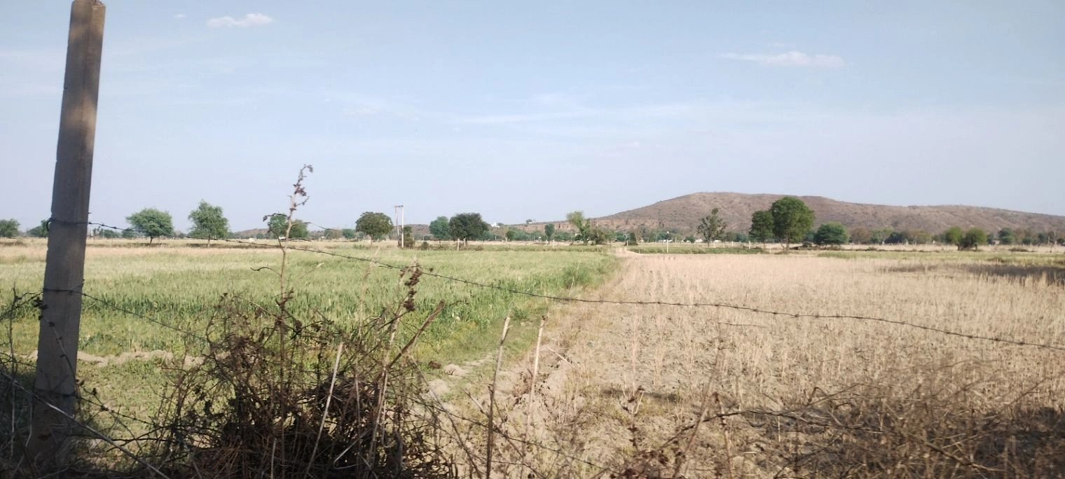 Ghat, Rajasthan, India preview 4