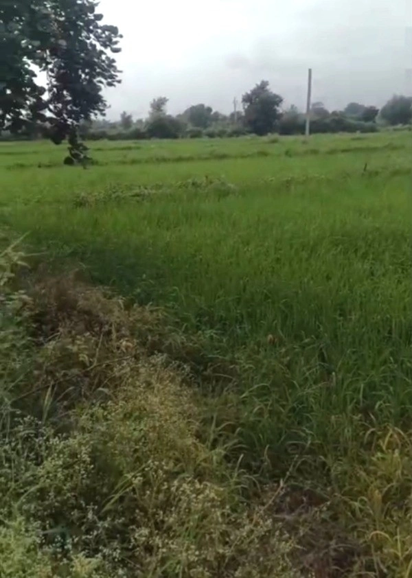 Fatehpur Dobra, Madhya Pradesh 462044, India