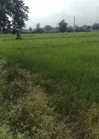 Fatehpur Dobra, Madhya Pradesh 462044, India preview 3