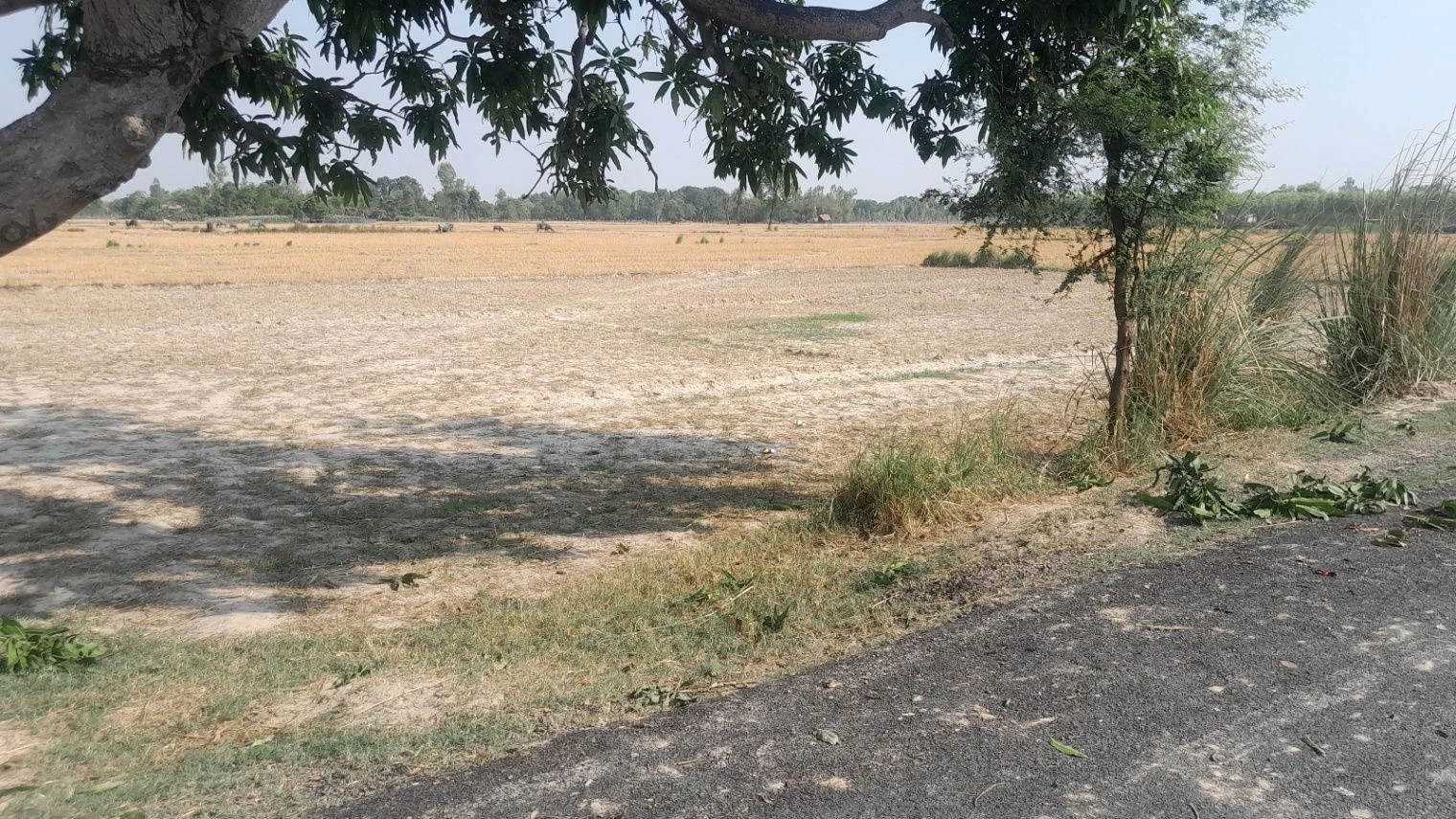 H2PR+F69, Rewati Ganj - Bikapur Rd, Aadil Pur, Uttar Pradesh 224208, India