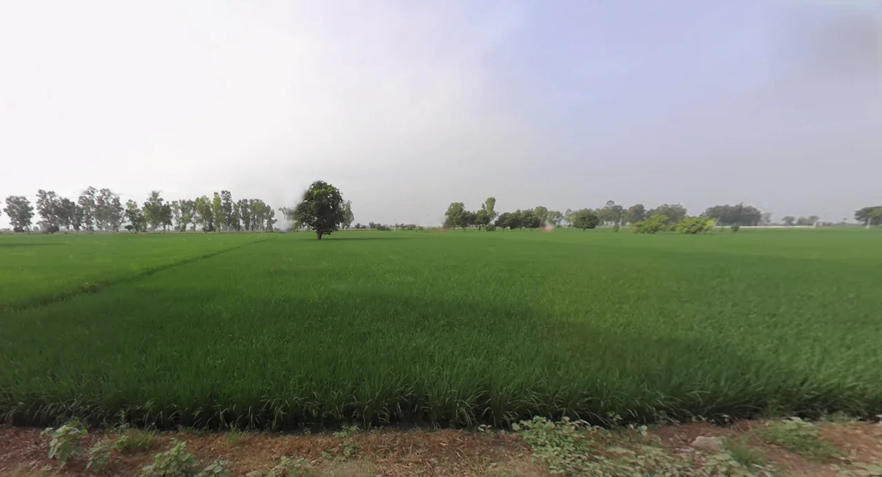 Junani, Odisha 768222, India preview 2