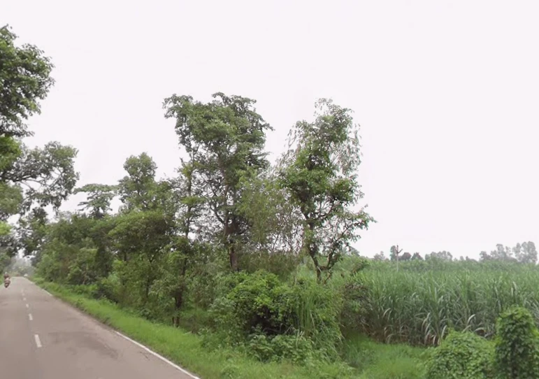 Manjhipur, Uttar Pradesh 247129, India