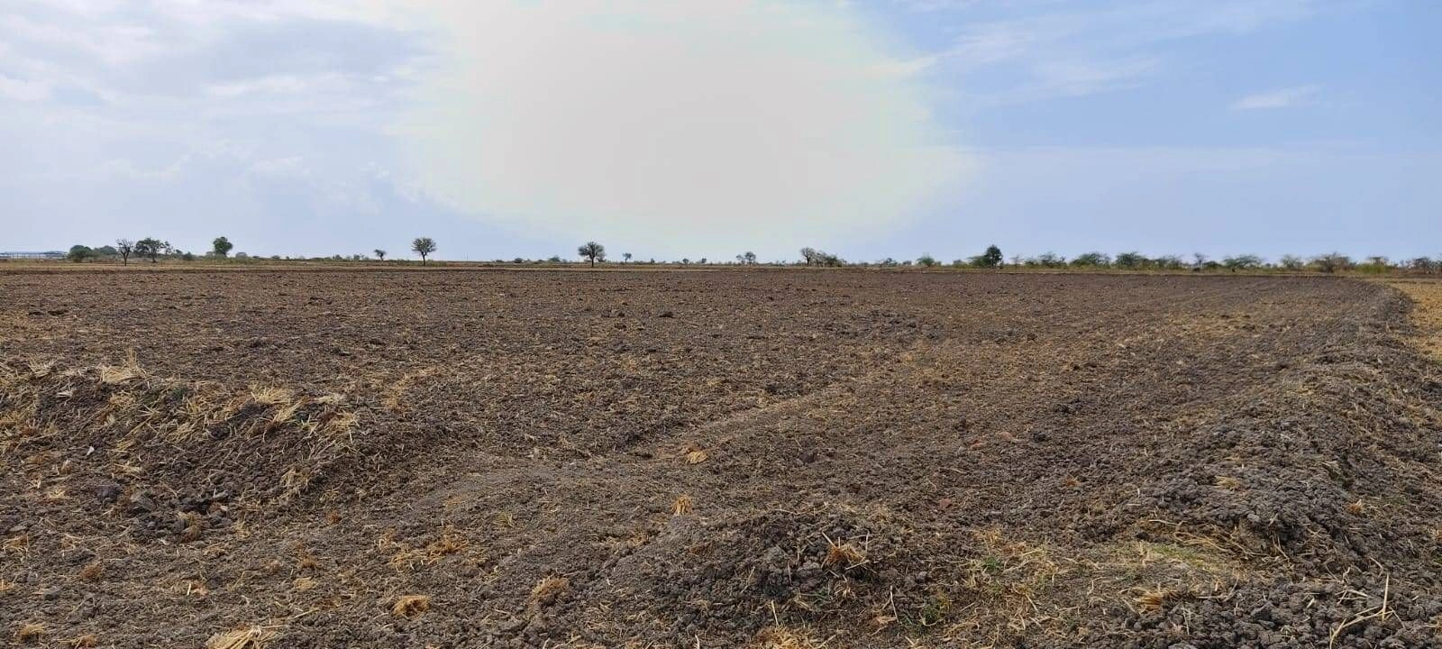 Jaswantnagar, Uttar Pradesh 206245, India