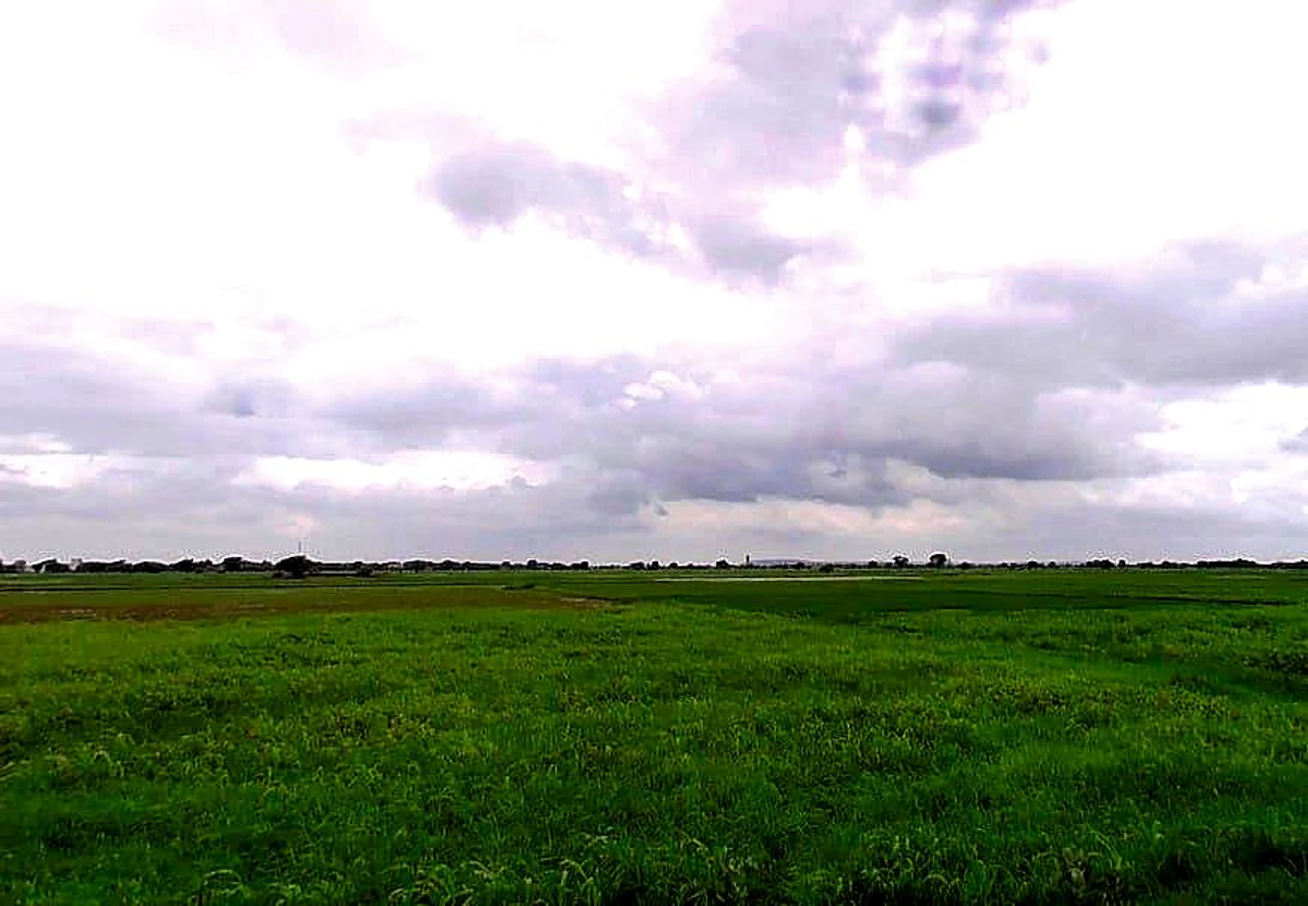 Nawa, Rajasthan 341509, India