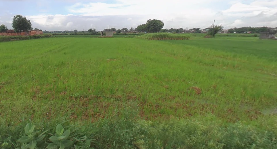 Shikarpur, Uttar Pradesh 203395, India