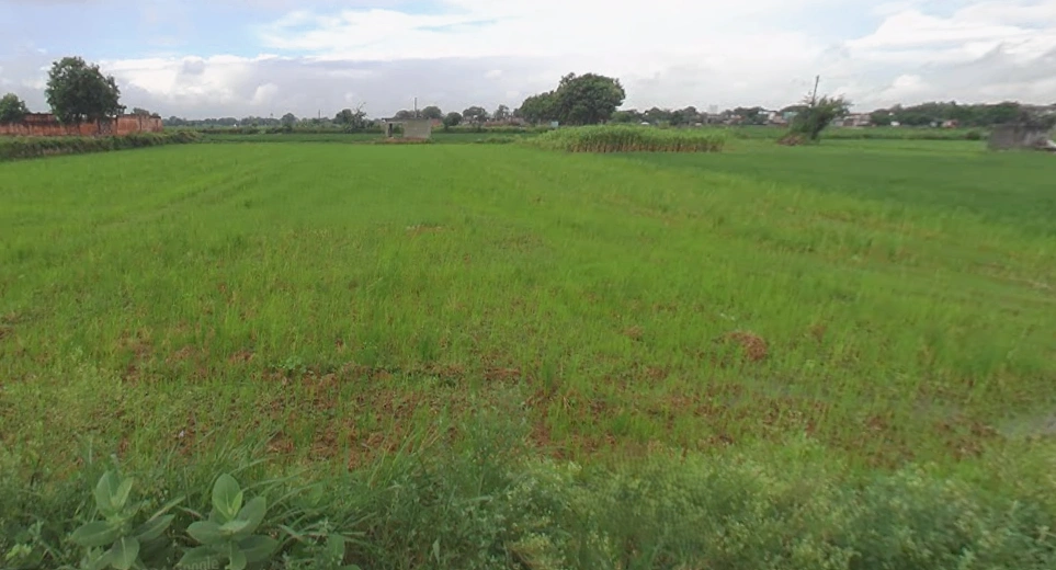 Shikarpur, Uttar Pradesh 203395, India