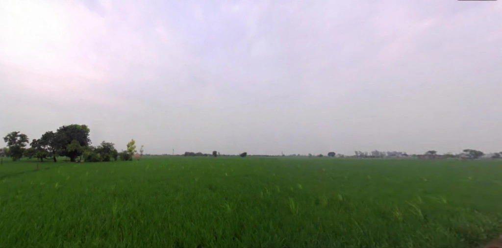 Gheer, Haryana 132023, India