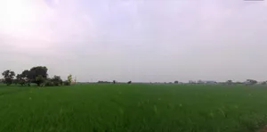 Gheer, Haryana 132023, India preview 2