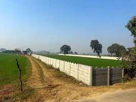 5FQR+9V5, Bagpur Khurd, Haryana, India preview 2