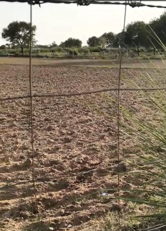 P6PF+QF Rajwas, Rajasthan, India