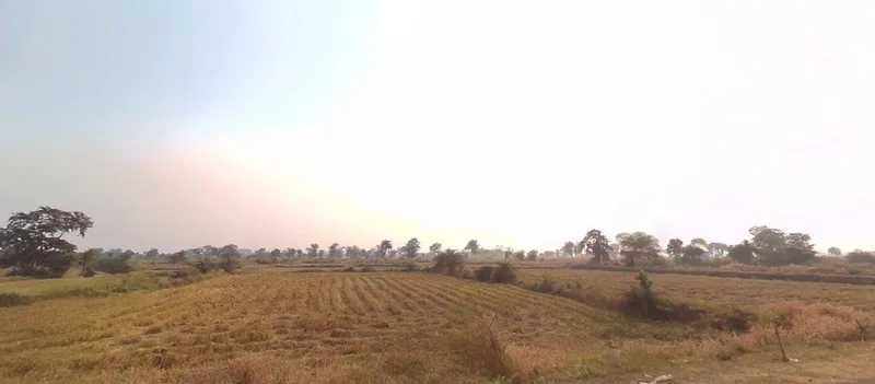 Banjari, Chhattisgarh 493661, India preview 2