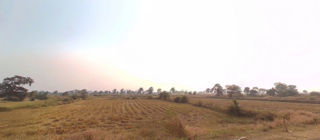 Banjari, Chhattisgarh 493661, India