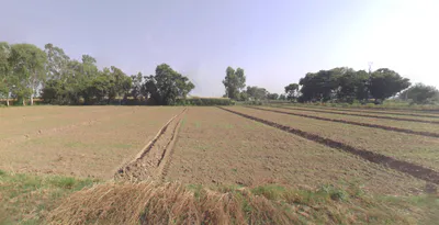 Hasanawala, Uttarakhand 247662, India preview 2