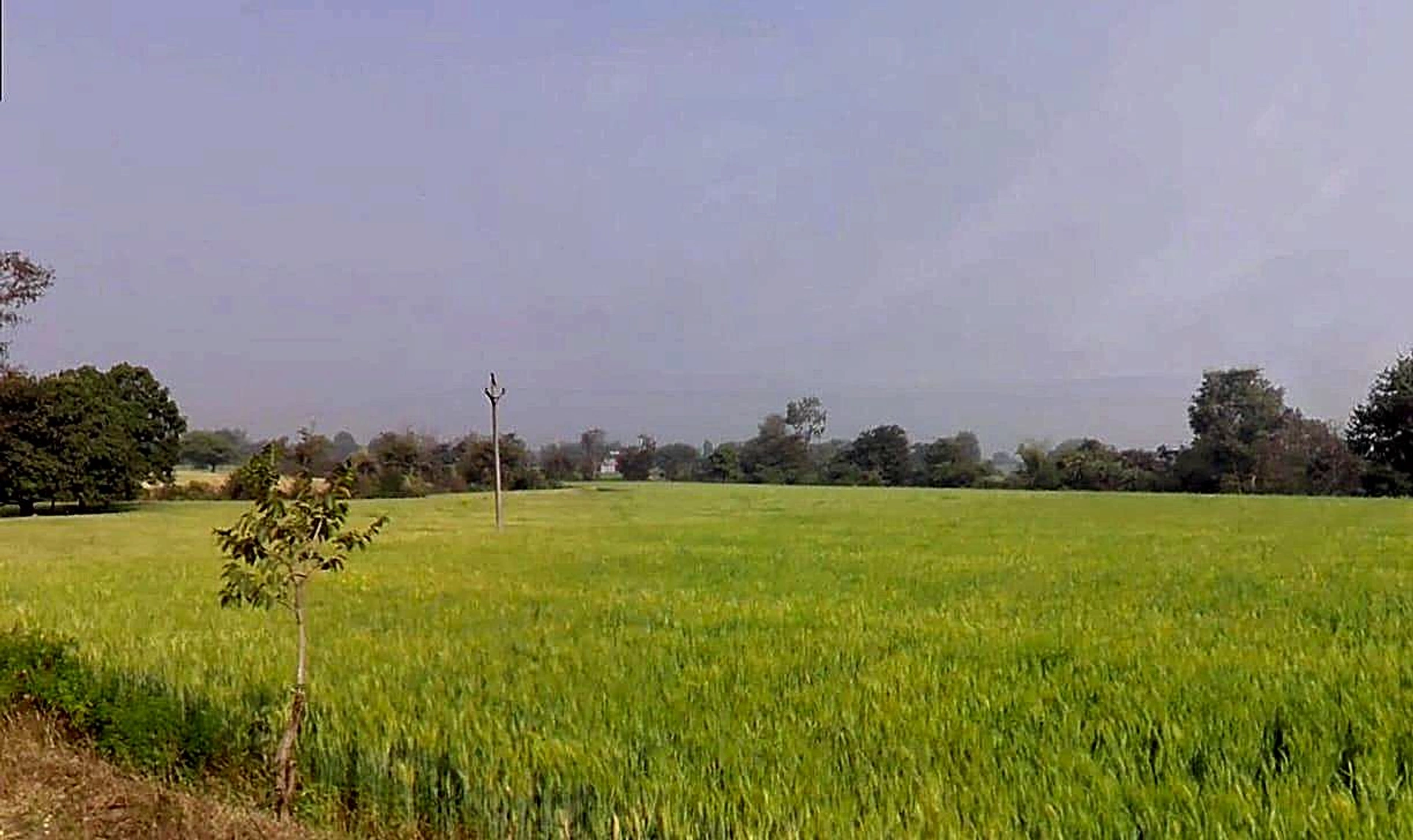 Sankheda, Madhya Pradesh 466665, India