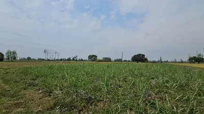 9J55+74 Mohani, Rajasthan, India preview 2