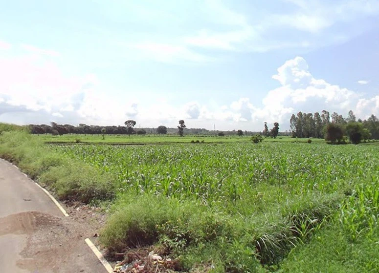 Bhauwala, Uttarakhand 248007, India