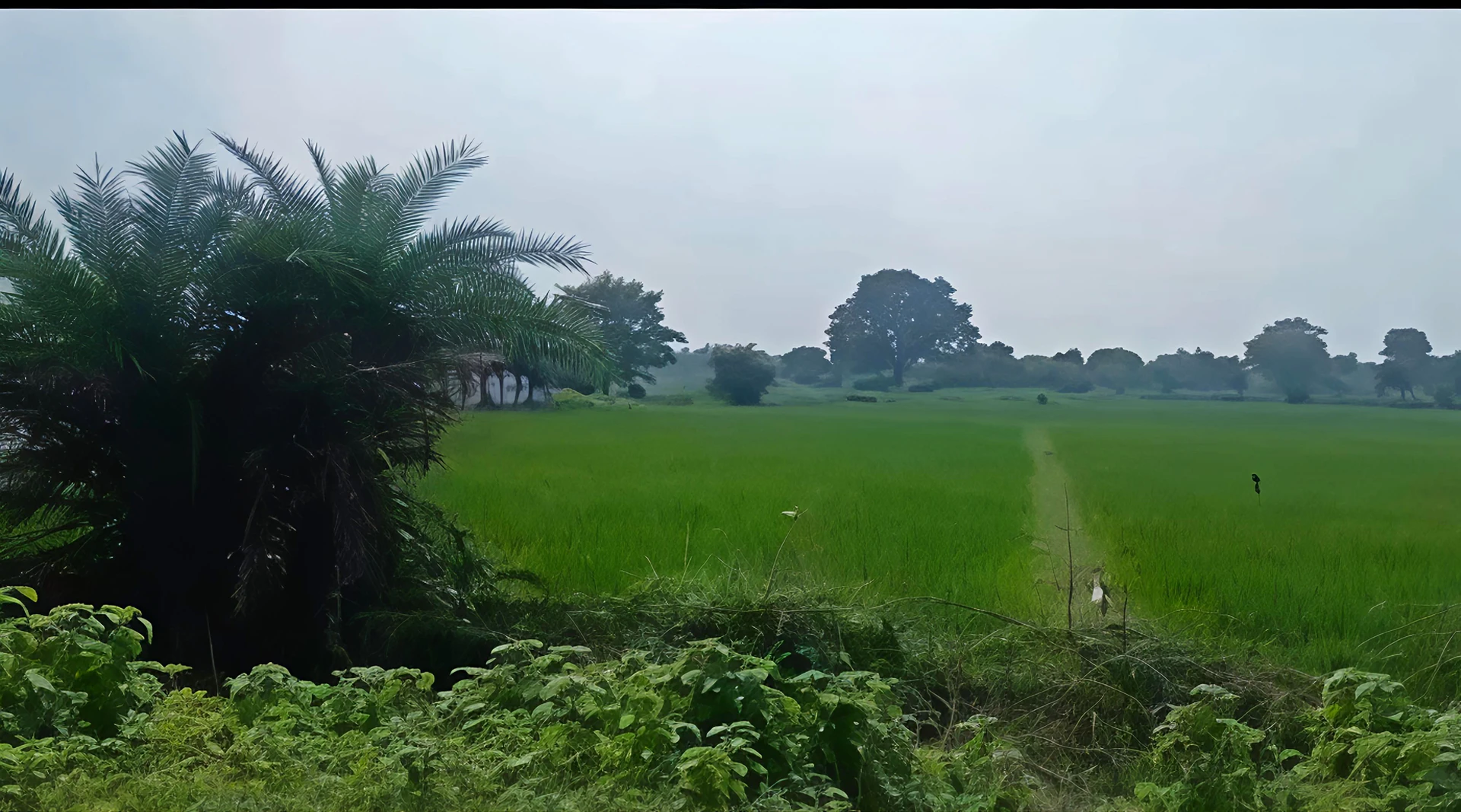 Maurawan, Uttar Pradesh, India