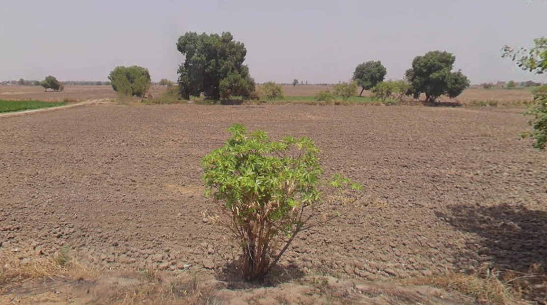 Barasat, West Bengal 741257, India