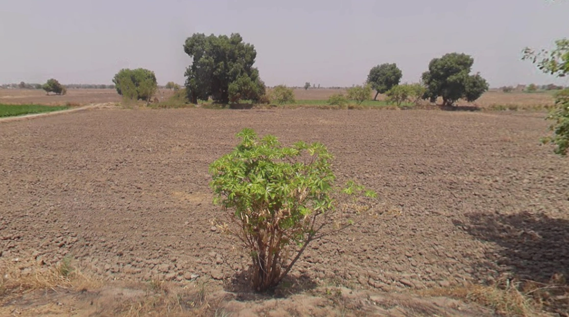 Barasat, West Bengal 741257, India