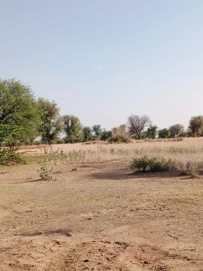 GGGQ+QQ Shri Ramganj, Rajasthan, India