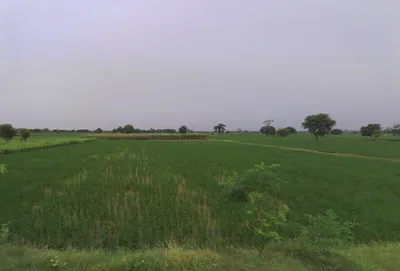 Julana, Haryana 126101, India preview 3