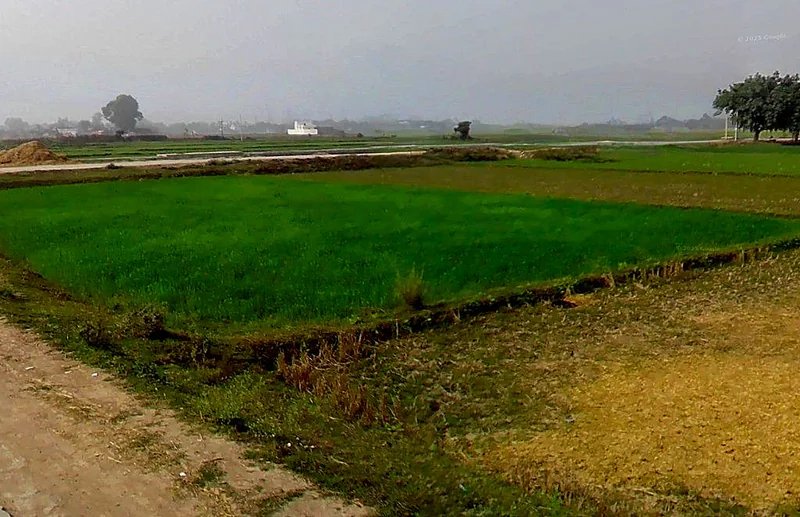 Anandgaon, Chhattisgarh 491332, India preview 2