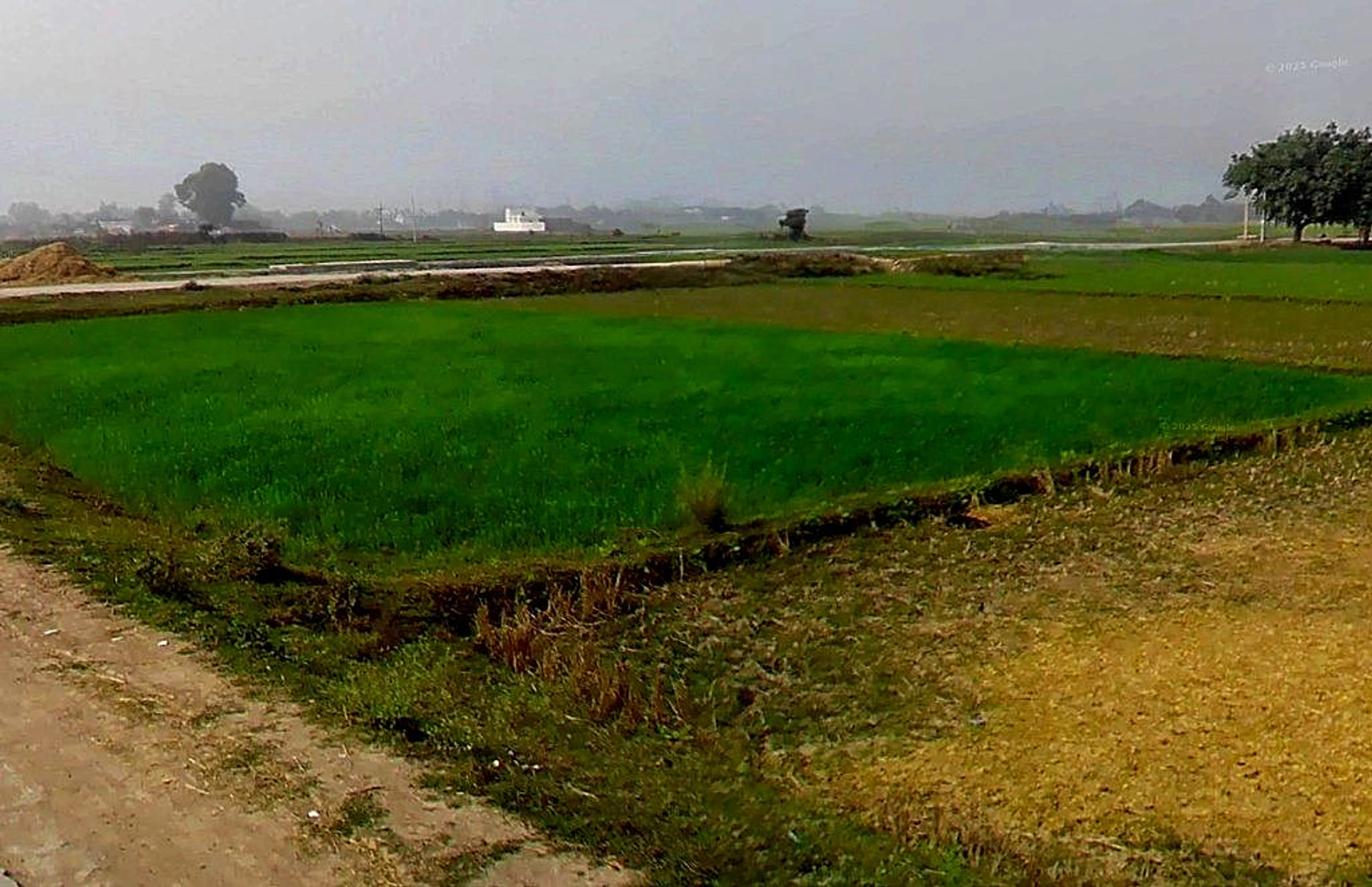 Anandgaon, Chhattisgarh 491332, India