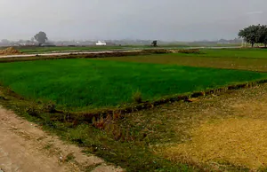 Anandgaon, Chhattisgarh 491332, India preview 2