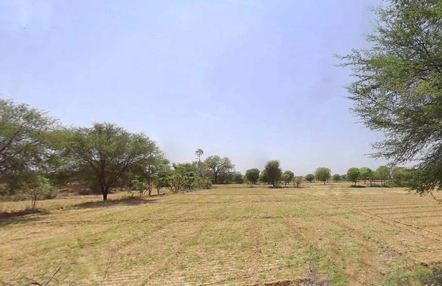 Bhatesari, Rajasthan, India