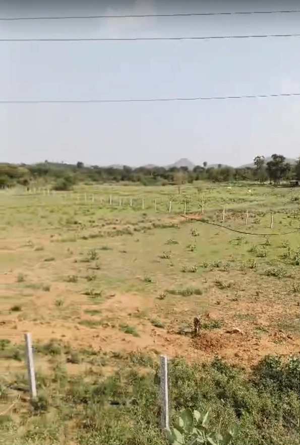 Q4R7+H2 Lalgarh, Jaipur, Rajasthan, India