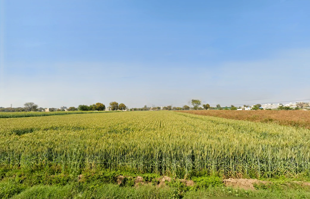 Najafgarh, Delhi, India