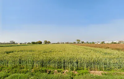 Najafgarh, Delhi, India preview 2