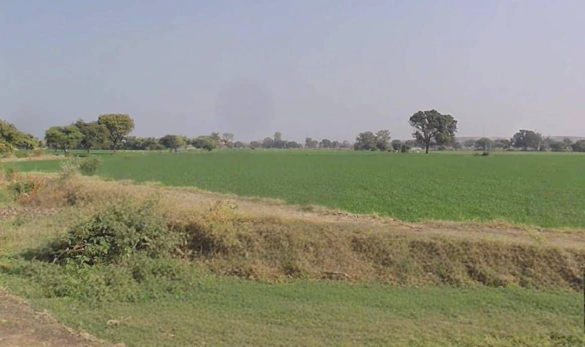Nasrullaganj, Madhya Pradesh 466331, India preview 3
