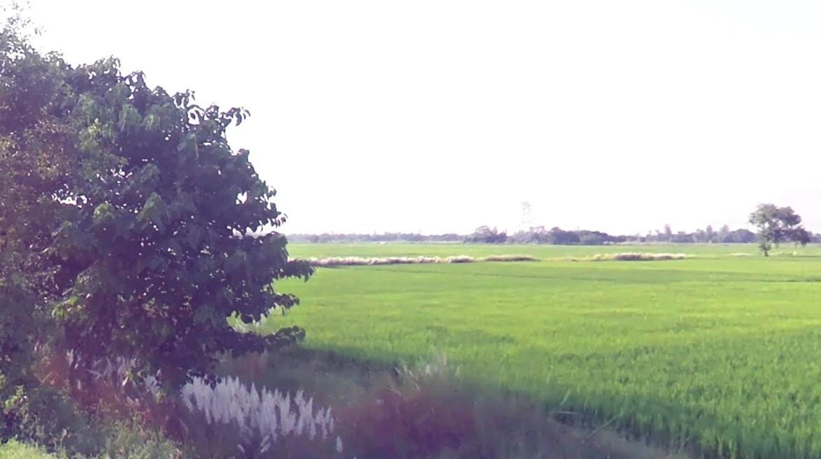 Panchkosi Marg, Dhancha Bhavan Colony, Sandipani Nagar, Ujjain, Madhya Pradesh, India