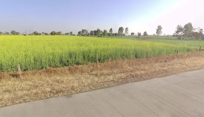 Bakaniya, Madhya Pradesh 462030, India preview 2