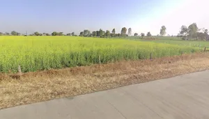 Bakaniya, Madhya Pradesh 462030, India preview 2
