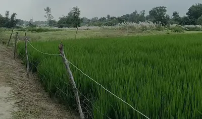 Mohanlalganj, Lucknow, Uttar Pradesh 226301, India preview 3