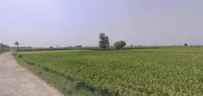 Thakurdwara, Uttar Pradesh 244601, India preview 2