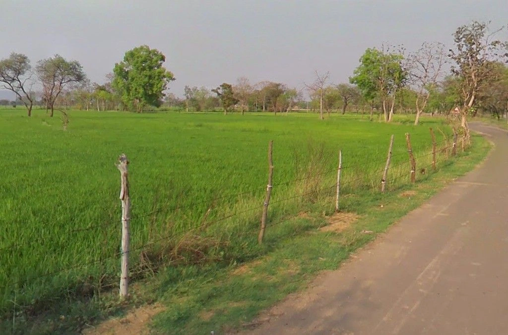 Bandha, Chhattisgarh, India