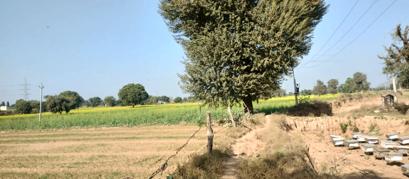 Tappal, Uttar Pradesh 202165, India