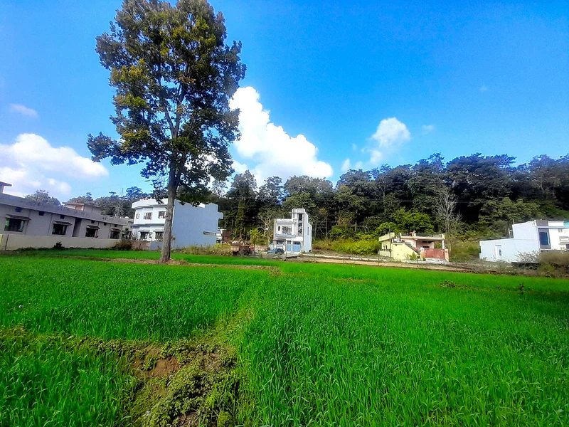 Singhniwala, Uttarakhand 248197, India preview 3