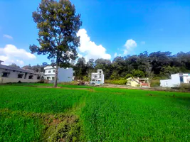 Singhniwala, Uttarakhand 248197, India preview 3