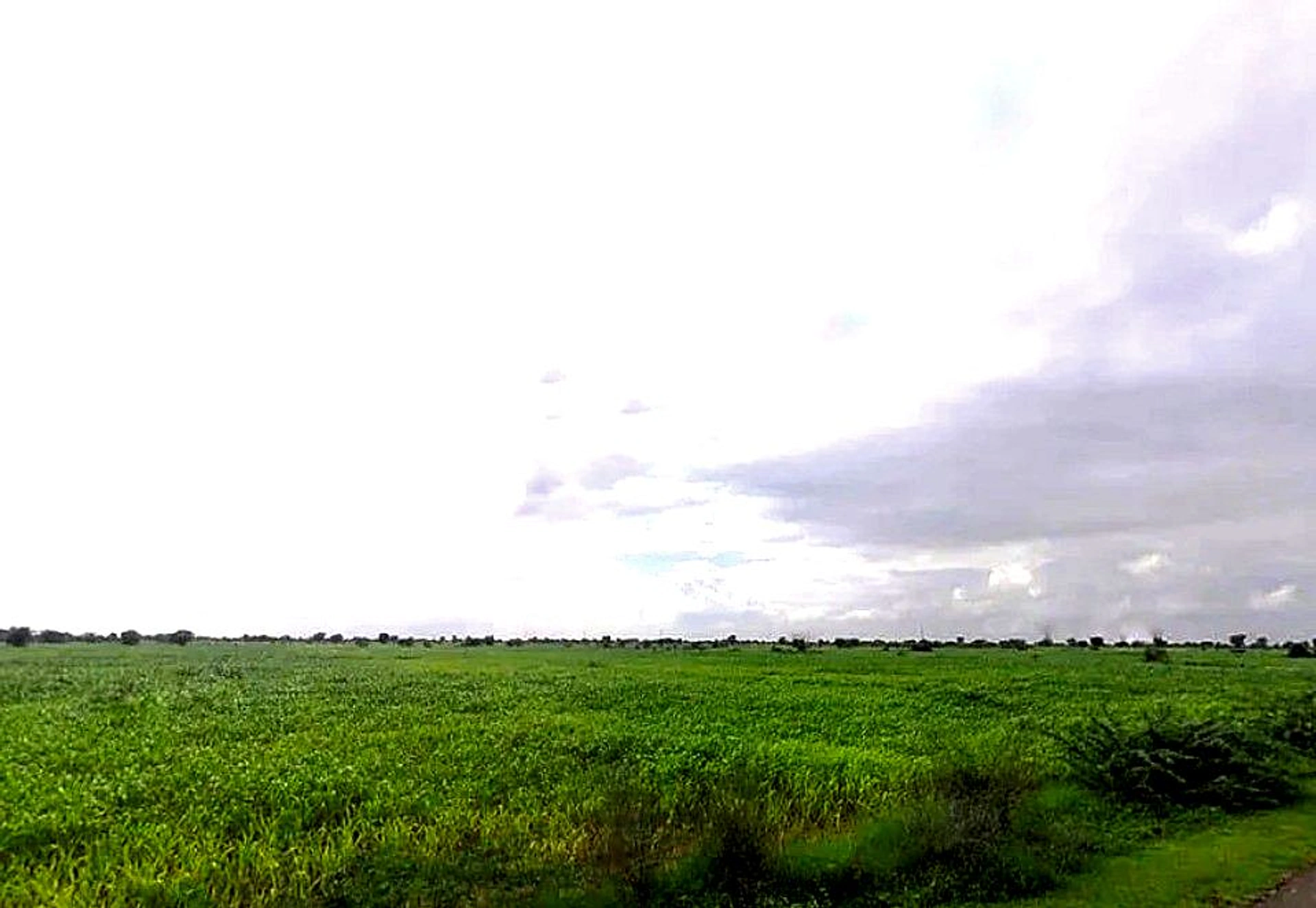 Bassi Naaga, Jaipur, NH-8, Ajmer Road, Jobner, Jobner, Rajasthan 303329, India