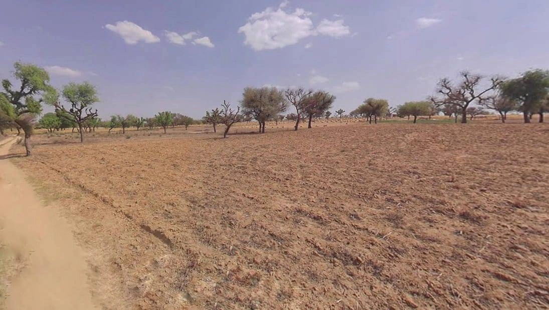 CC8G+MJ2, Mandha, Rajasthan, India