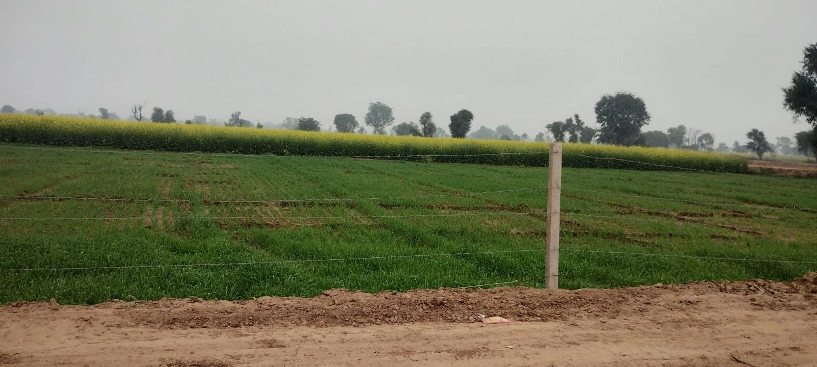 Tijara, Rajasthan 301411, India preview 2