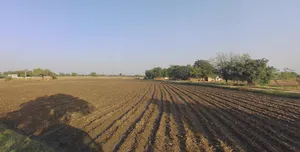 QM9W+V3P, Kheda, Gujarat 387130, India preview 2