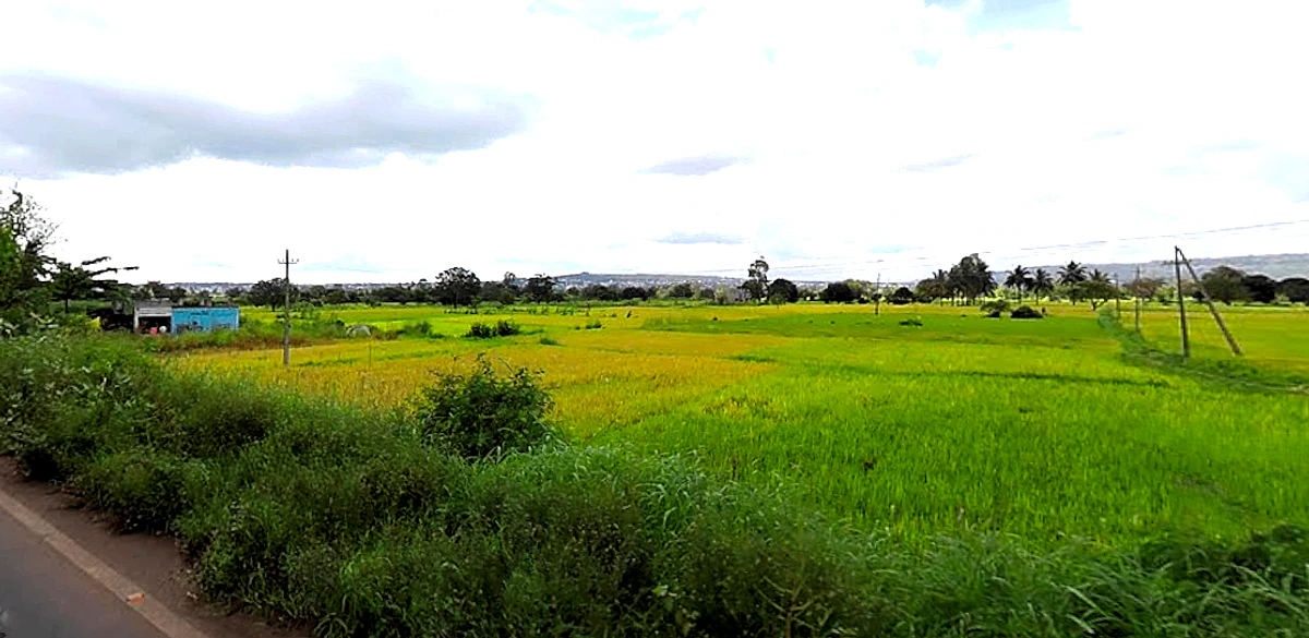 Sambra Rd, Mutaga, Karnataka, India