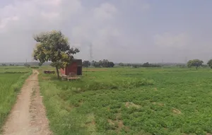 Chunar, Uttar Pradesh 231304, India preview 2