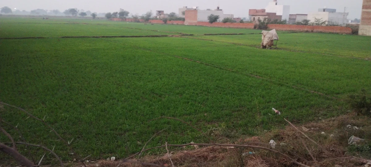 Govardhan, Uttar Pradesh, India